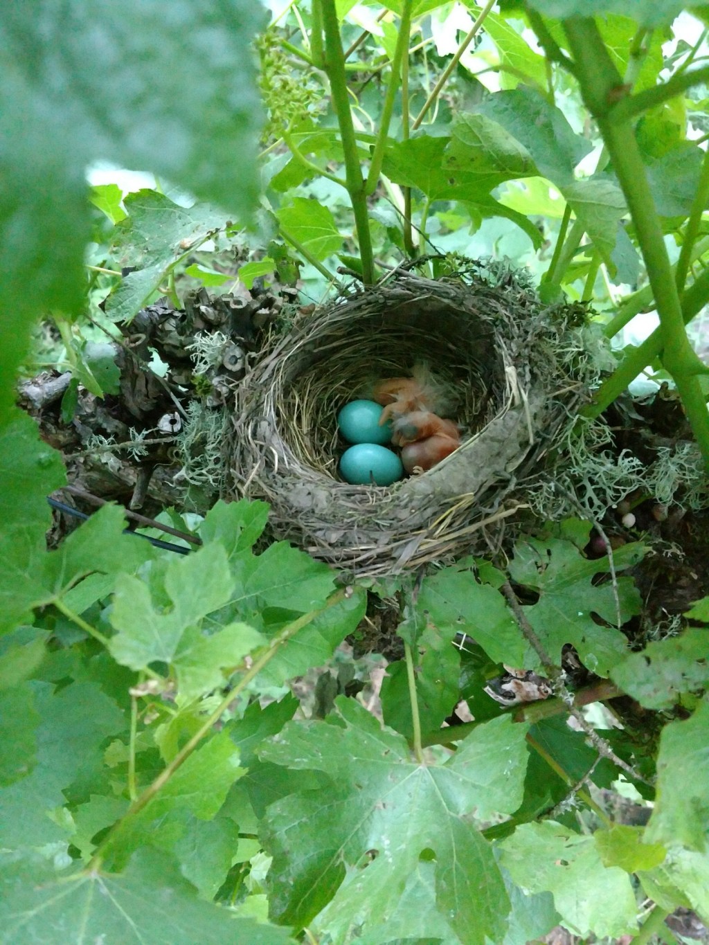 A new growing year&nbsp;begins