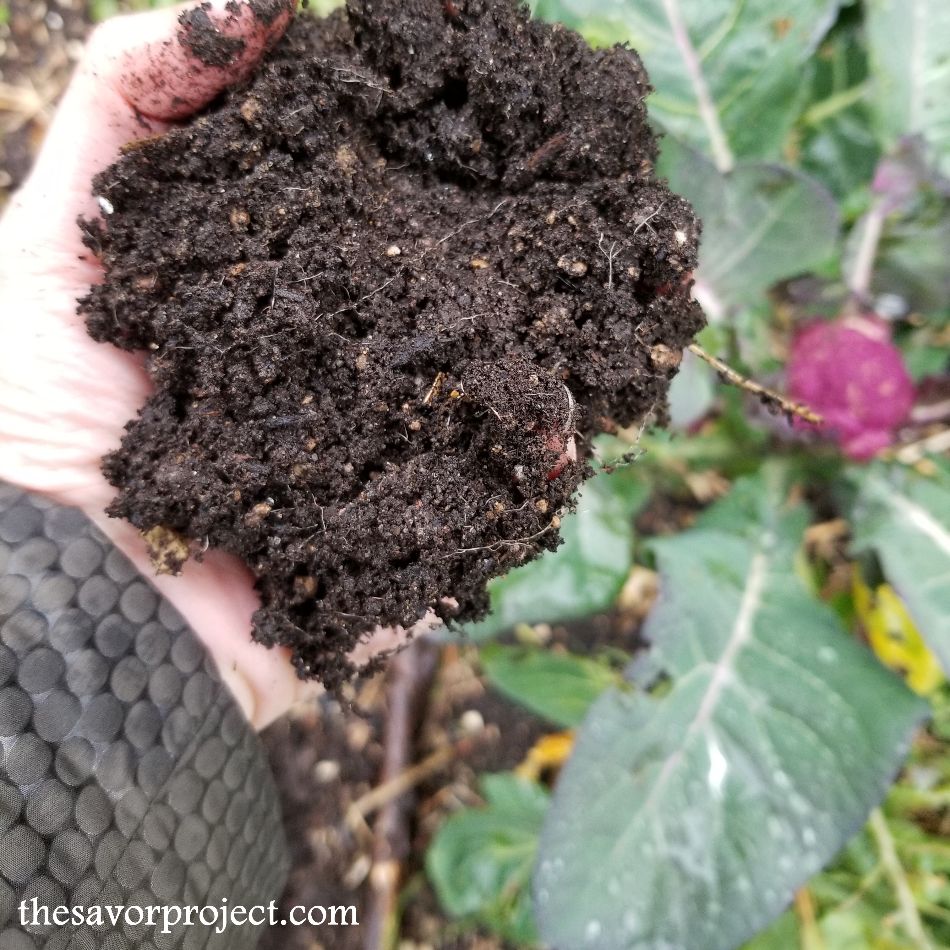 IMG_20191219_115324_031